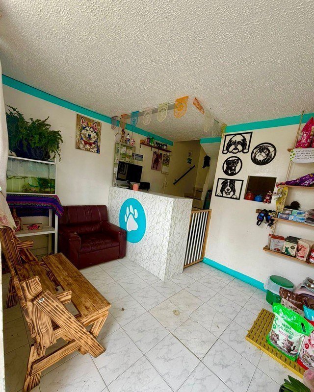 Sala de espera y recepción de Zoolomascotas Mx